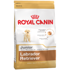 Labrador Junior Royal Canin